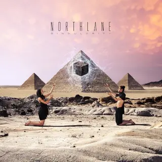 Cover of Singularity