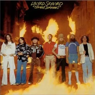 Cover of Street Survivors