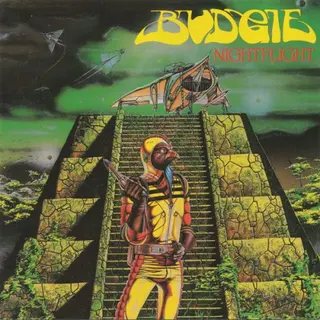 Cover of Nightflight