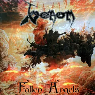 Cover of Fallen Angels