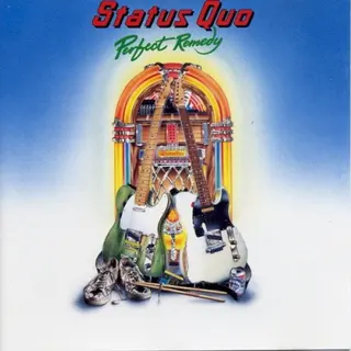 Cover of Perfect Remedy