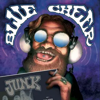 Cover of Junk