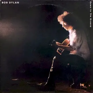 Cover of Down in the Groove