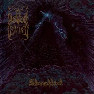 Cover of Stormblåst