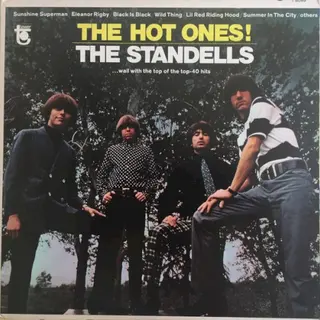 Cover of The Hot Ones!