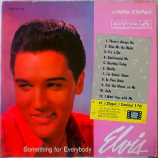 Cover of Something for Everybody