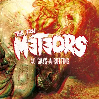 Cover of 40 Days a Rotting