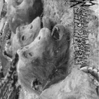 Cover of Agathocles / My War Crimes