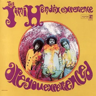 Cover of Are You Experienced