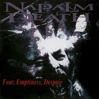 Cover of Fear, Emptiness, Despair
