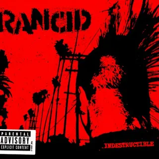 Cover of Indestructible