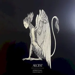 Cover of Spiritual Instinct