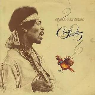 Cover of Crash Landing