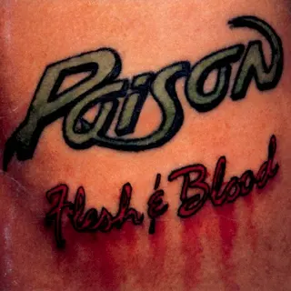 Cover of Flesh & Blood