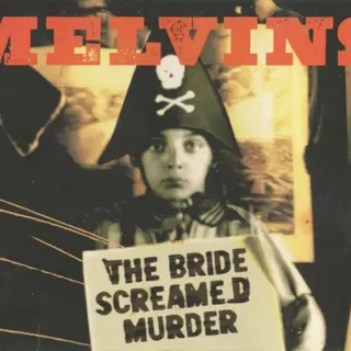 Cover of The Bride Screamed Murder