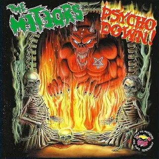 Cover of Psycho Down!